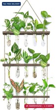 XXXFLOWER Wall Hanging Propagation Station with Wooden Stand 5 Glass Test Tubes