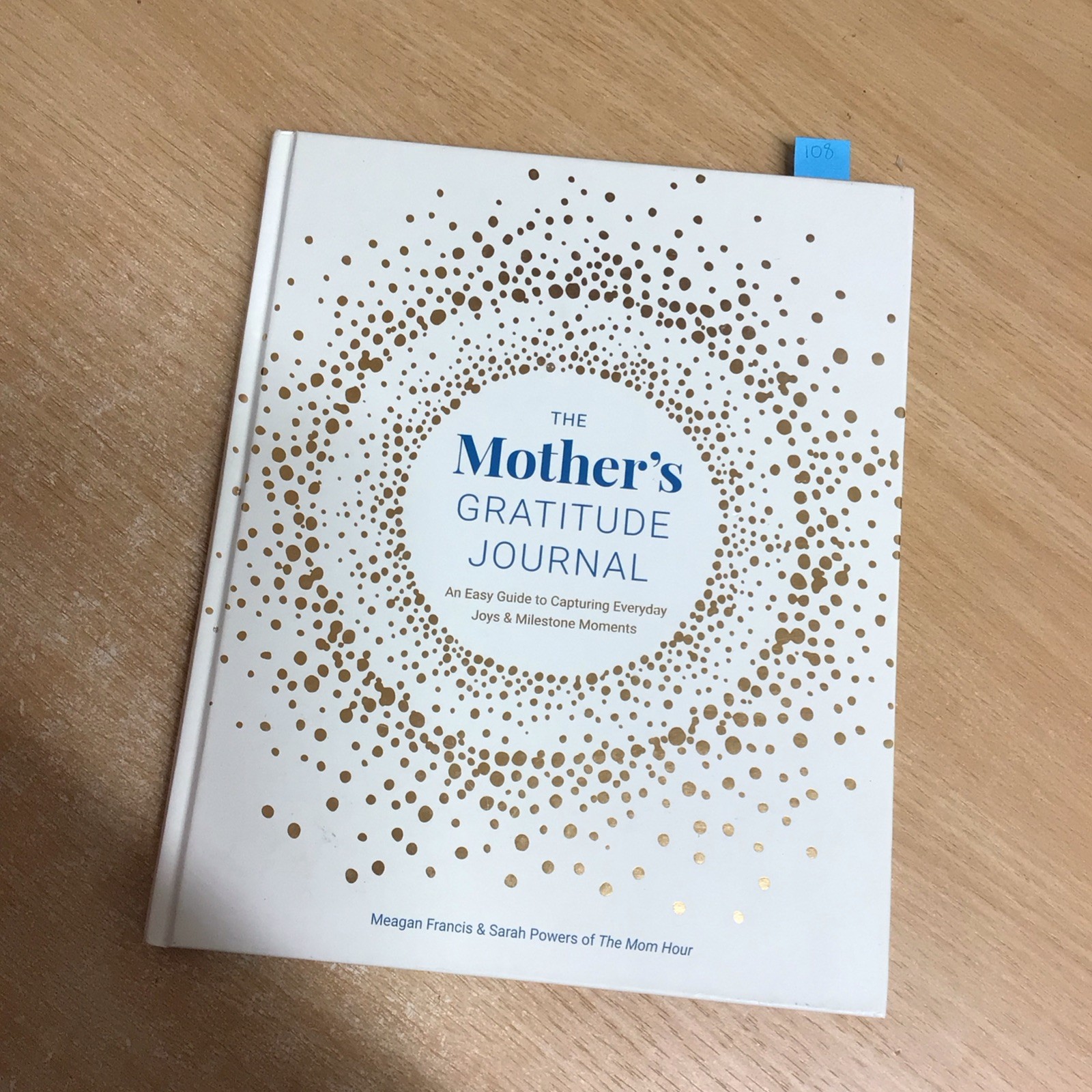 Mother's Gratitude Journal - 9798886741322