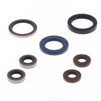 Serie Parolio Motor Sherco Sef-R 450 15-21 FüR Sherco 450 Sef-Racing 15-19 4T