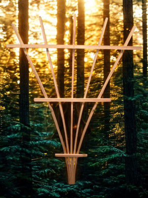 Wooden Fan Trellis Support for Roses & Vines - Cedar - Available in 4ft, 5ft, 6f