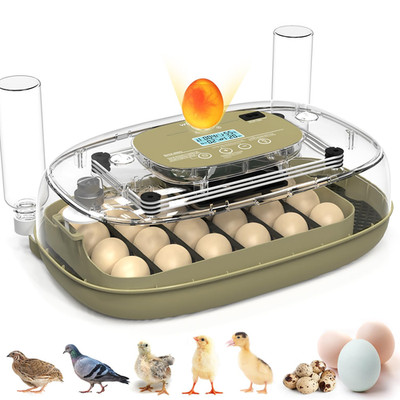 24 Egg Incubator with Automatic Turning, Temperature and Humidity Control, LED E