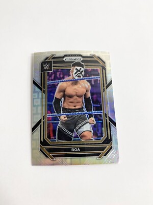 WWE ディーバ　プレミアムBOX WWE ディーバプレミアムBOX