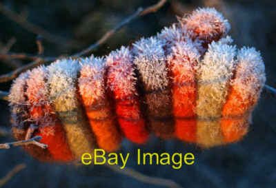 Foto 6x4 gefunden ein frostiger Fäustling Barnburgh um 2008
