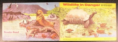 WILDLIFE IN DANGER BROOKE BOND PG TIPS TEA CARD VINTAGE ALBUM PETER SCOTT [2]
