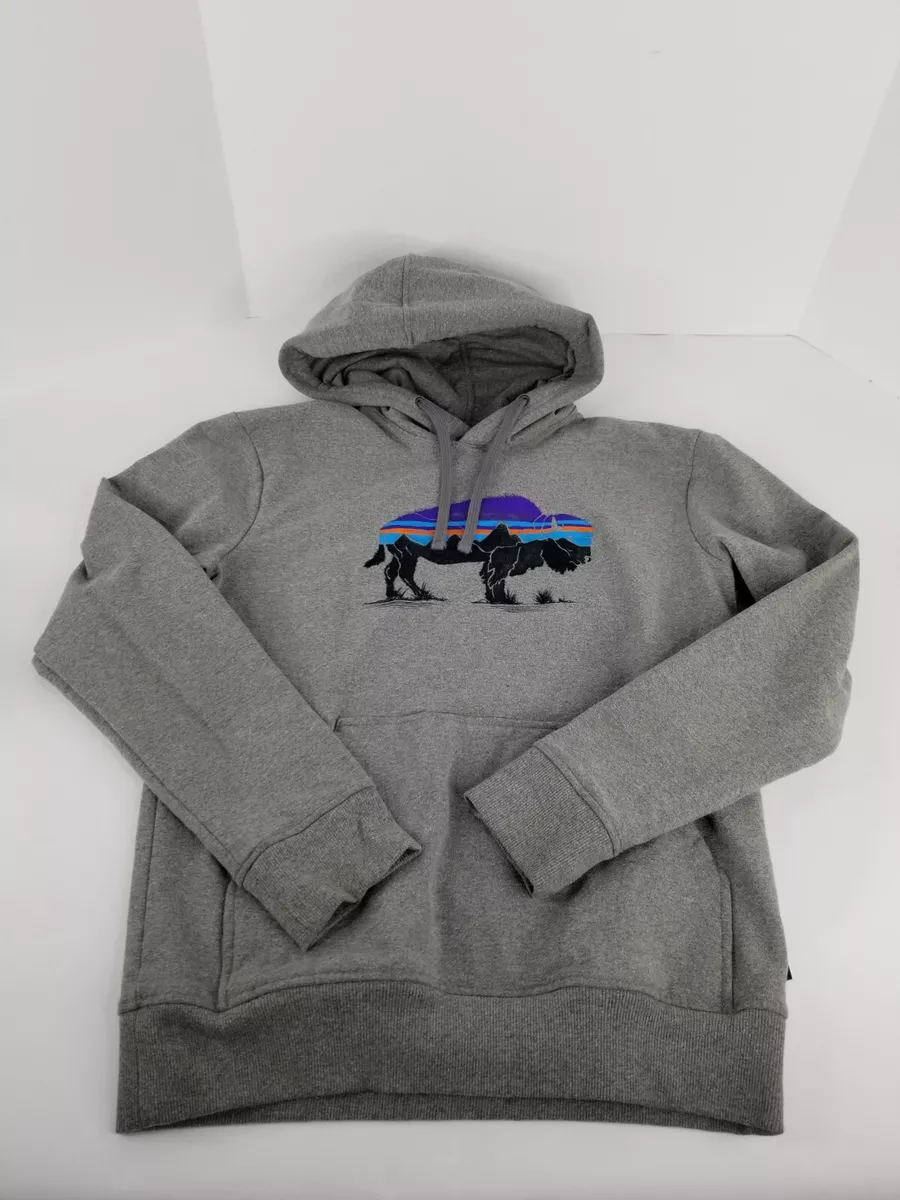Patagonia 2025 sweatshirt grey