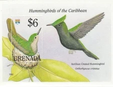 Grenada 1992 - Hummingbirds - Souvenir Stamp Sheet - Scott #2082 - MNH