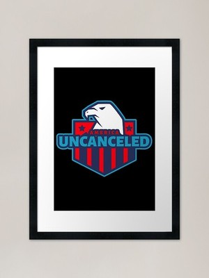 Adler mit amerikanischer Flagge - Amer gerahmtes Wandbild Poster Leinwanddruck Bild