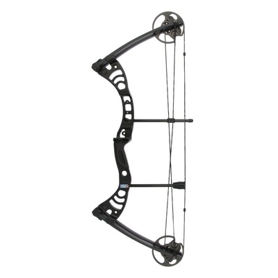 DRAKE Gecko- 30-55 lbs - Compoundbogen f. Jugend & Erwachsene, Anfängerbogen TOP