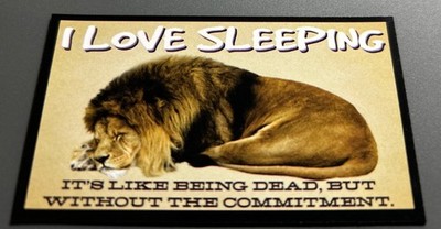 Fridge Magnet: I LOVE SLEEPING! It s Like Being Dead, But Without The Commitment