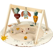 Tiny Love Gardens of Adventure, Luxe Developmental Gymini