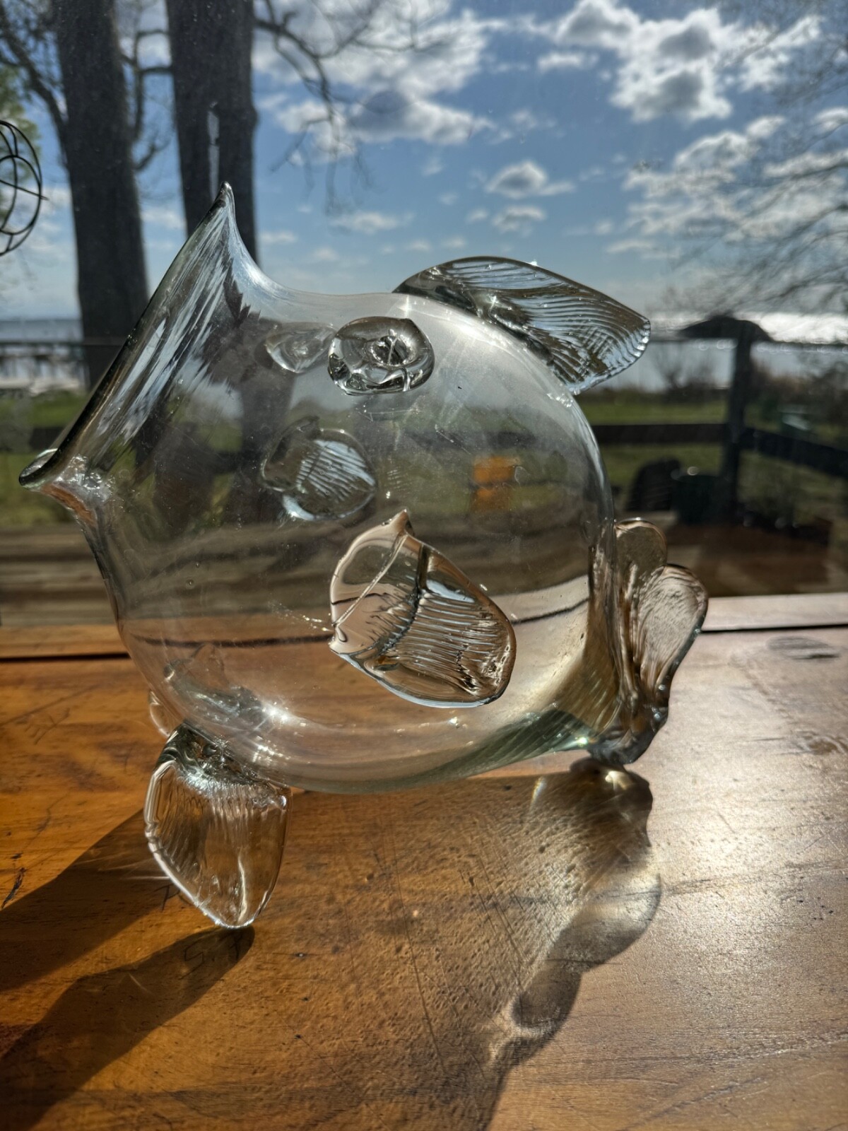 Picture 5 of 6
