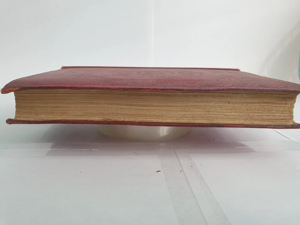 Geological Excursions Round the Isle of Wight by Gideon Mantell 3rd Edition 1854 - Image 4 of 4