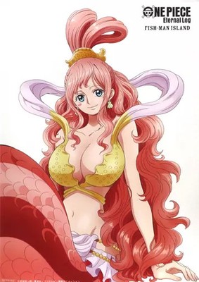 Avex Pictures One Piece Eternal Log Fish Man Island A3 Poster Shirahoshi