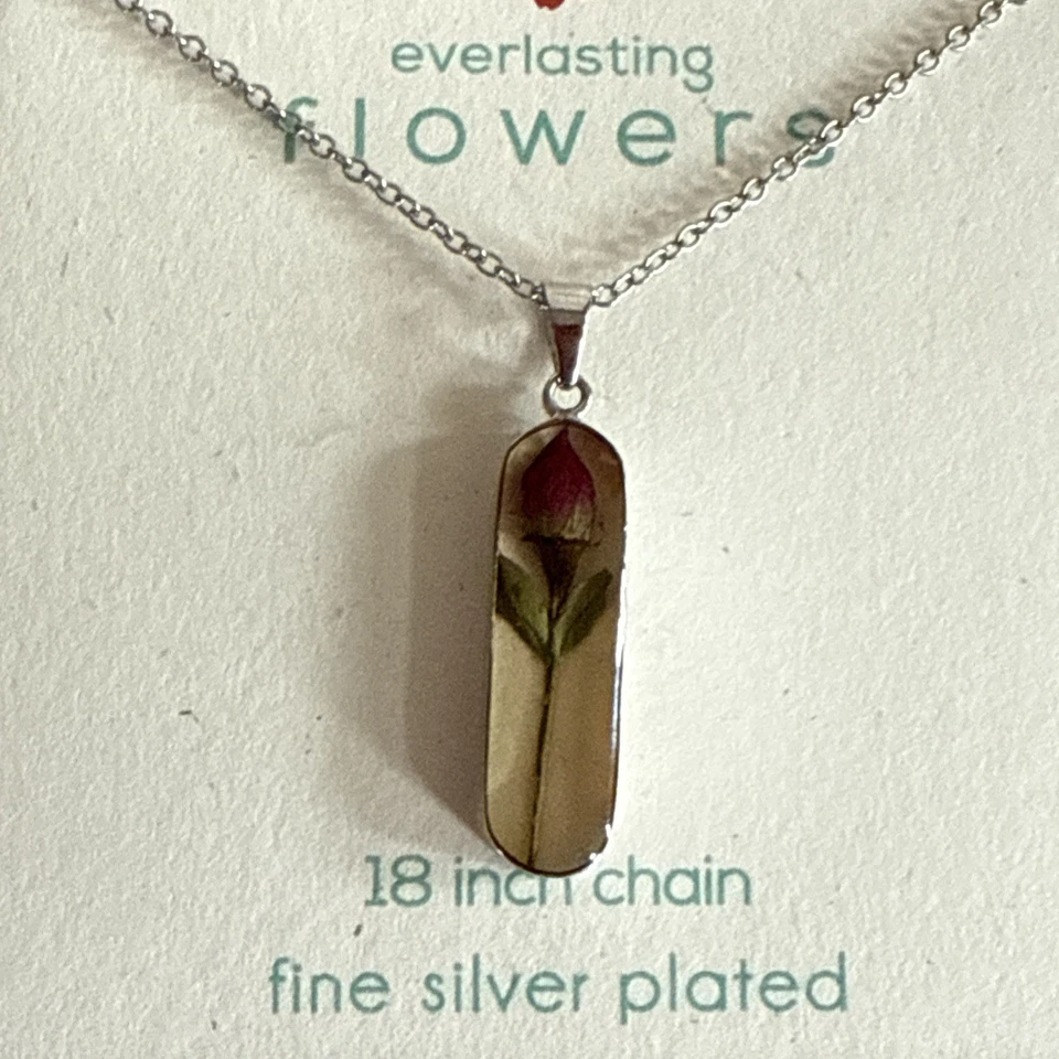 Collar Flores Eternas Semilla y Salvia Rosa Seca Fina Plateado NUEVO Foto 4 de 4