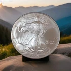 2004 SILVER EAGLE- VERY NICE OBVERSE AND A NICE EARLY COLOR RING ON THE REVERSE