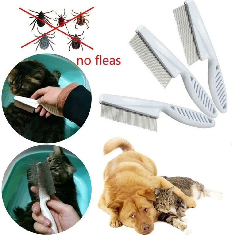 Cat Hair Grooming Brush White Puppy Cat Hair Grooming Brush Remove