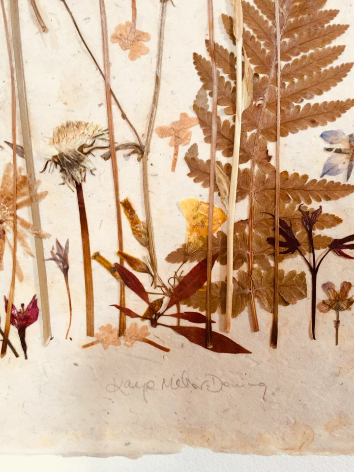 FLOR PRENSADA COLLAGE FLORES NATURALEZA BOTÁNICA FLORAL JARDÍN PÉTALOS FOLLAJE Foto 4 de 4