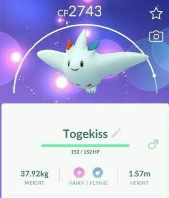 Go Pokemon High Cp Togekiss Trade Ebay Go Pokemon High Cp Togekiss Trade Ebay