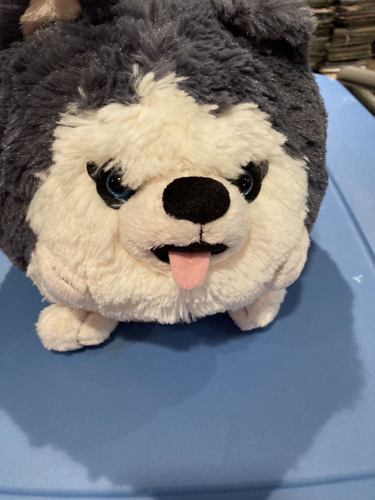 squishable husky