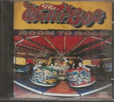 CD ROOM TO ROAM BY THE WATERBOYS (1990) CRYSALIS RECORDS F2 21768
