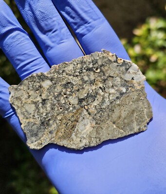 Meteorite**Adrar 013, Lunar Melt Breccia**25.20 gram, Anorthositic Norite Gabbro
