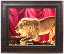 Adam Scott Rote 'The Wild Ones-Lion I' Giclee on Aluminum
