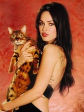 Megan Fox Fabulous 4x6 Picture Celebrity Print