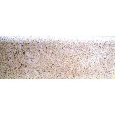 Spanish Gres Monococción Ceramic Tile Brown Tan Speckled 3x8 inches Backsplash
