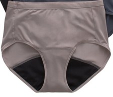 Hanes Women's Comfort, Period Underwear 1 Pair Briefs Size 10 WARM STEEL