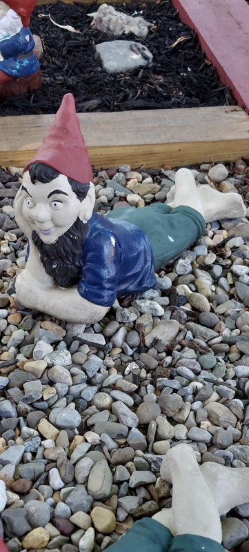 Vintage Garden Gnome Lying Down ELF DWARF FIGURE possible 60s Atlantic Mold 14"