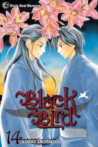 Thumbnail - Kanoko Sakurakouji Black Bird, Vol. 14 (taschenbuch) Black Bird (us