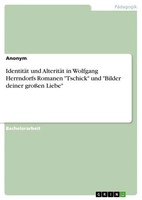 IdentitäT Und AlteritäT In Wolfgang Herrndorfs Romanen Tschick Und Bilder...