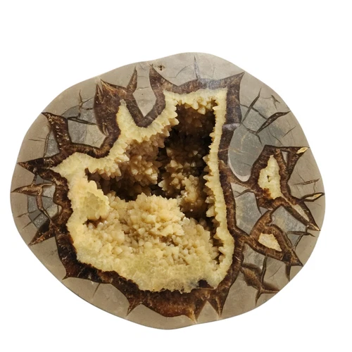 Septarian Nodule Specimen Half Polished Side Rough Exterior 4.5 LBS
