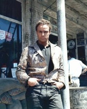Marlon Brando The Fugitive Kind 4x6 Picture Celebrity Print