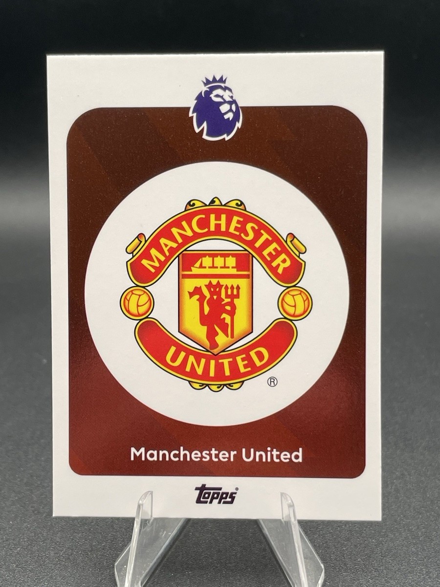 Insigne émaillé Danbury Mint Manchester United 2009 - Collection Premier League