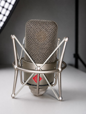 Neumann TLM 49 Cardioid Studio Condenser Microphone W/Shockmount