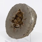 Unique & Rare Septarian Barite Geode from France Baryte Stone 175mm 4100g H0868 — photo 4