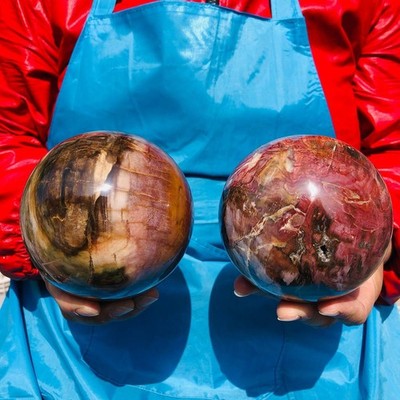 2PCS 5.83LB Natural Petrified Wood Agate Sphere Crystal Healing Specimen 4098