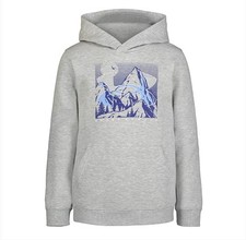 Under Armour UA MT LOGO HOODIE, MOD GRAY Graphic Size 7