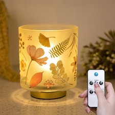 Battery Operated Small Lamp with Remote Control, Cordless Table Lamps with Ti...