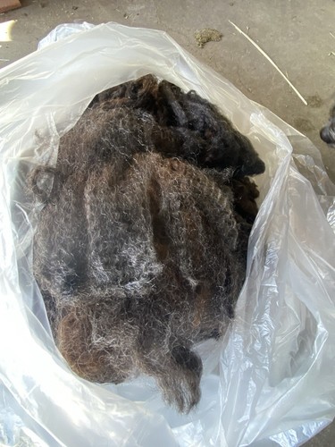 Raw Natural Colored Romney Ewe Neck Wool For Small Spinning/Felting Project - Picture 2 of 3