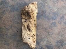 Natural Driftwood for Plants Terrarium Taxidermy Art Projects