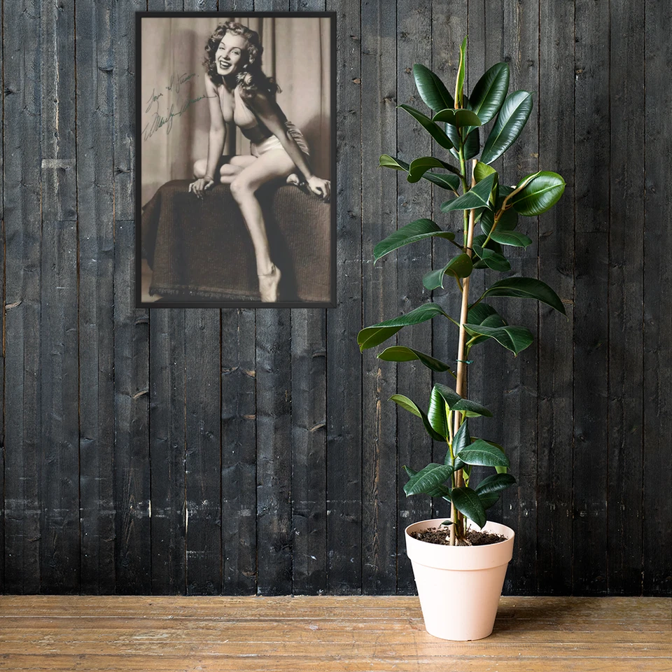 Marilyn Monroe Classic Poster – Framed,  (24″ × 36″) – Iconic Hollywood - Image 3 of 4