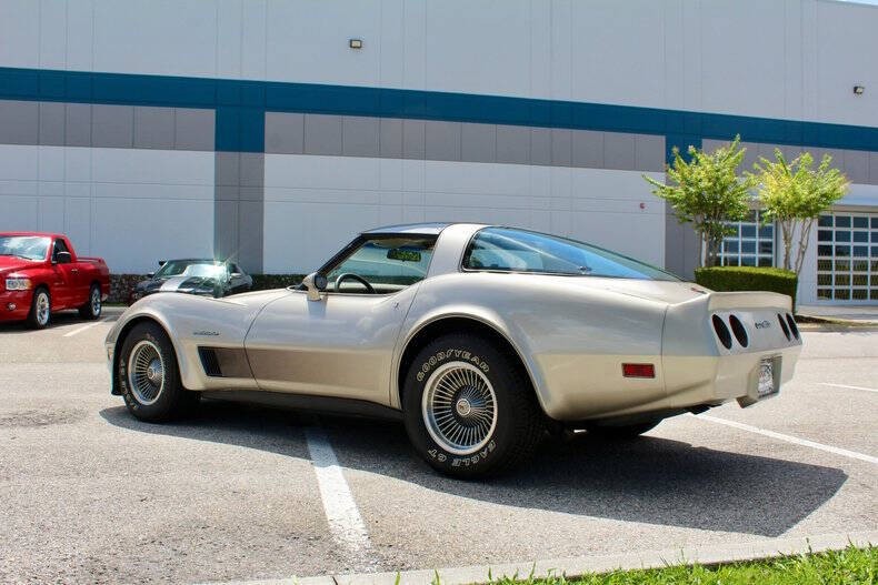 1982 Silver Beige Chevrolet Corvette   | C3 Corvette Photo 10