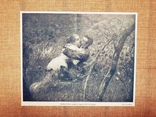 Primavera Quadro di Angelo Dall'Oca Bianca Stampa del 1931