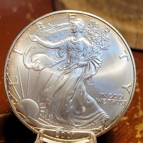 BU 2001 American Silver Eagle 1 Troy Oz .999 Fine Silver