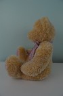 Bild 3 von 8