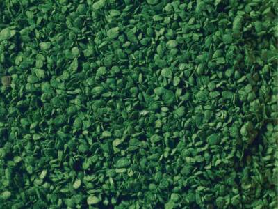 NOCH Leaves (medium green, 100g) For G,O,HO,TT,N,Z Scale