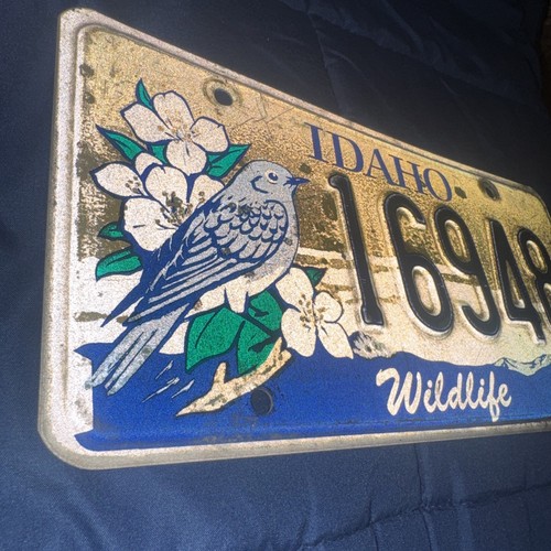 2004 Expired Design, IDAHO Wildlife BLUEBIRD Series License Plate Ships FREE