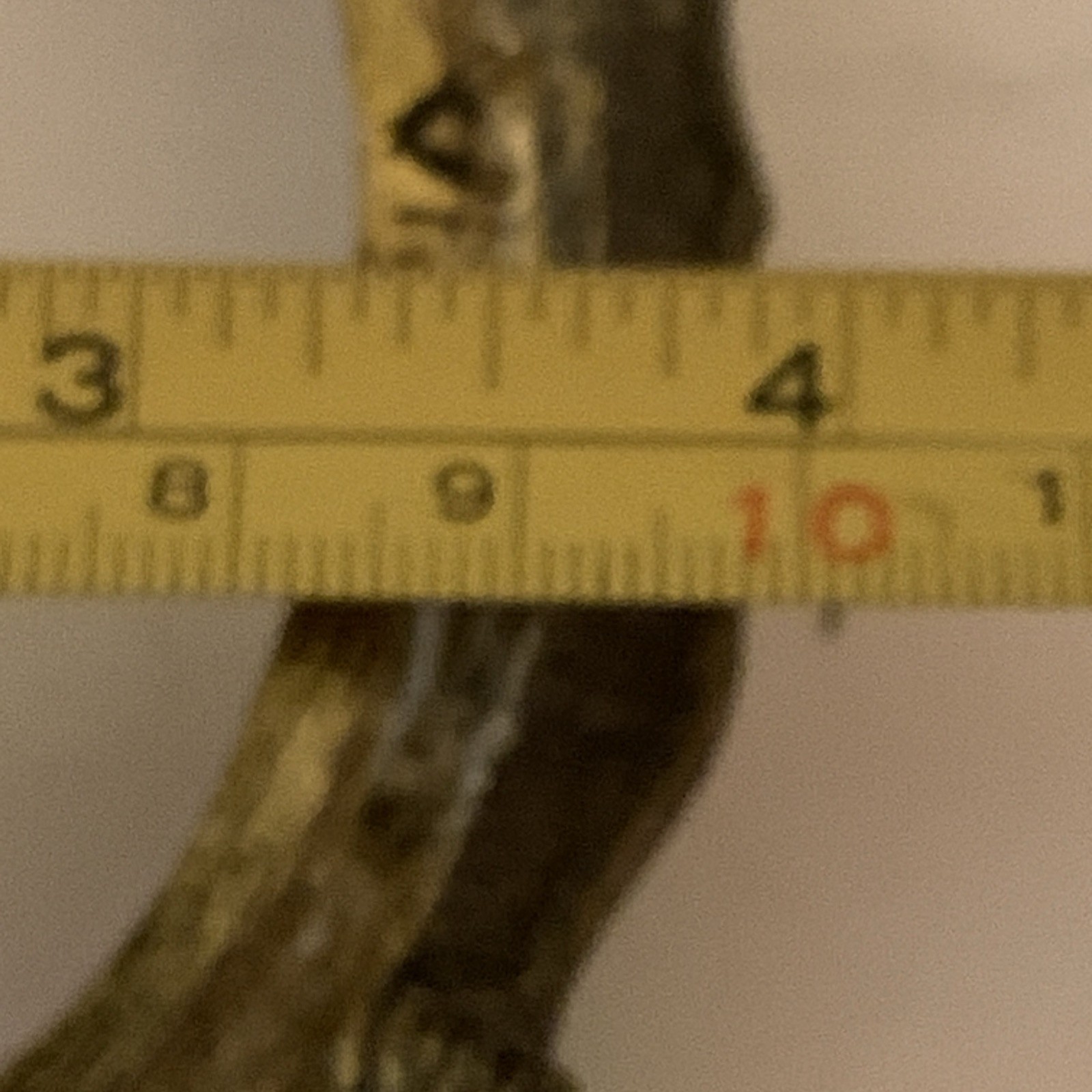 Bild 10 von 11